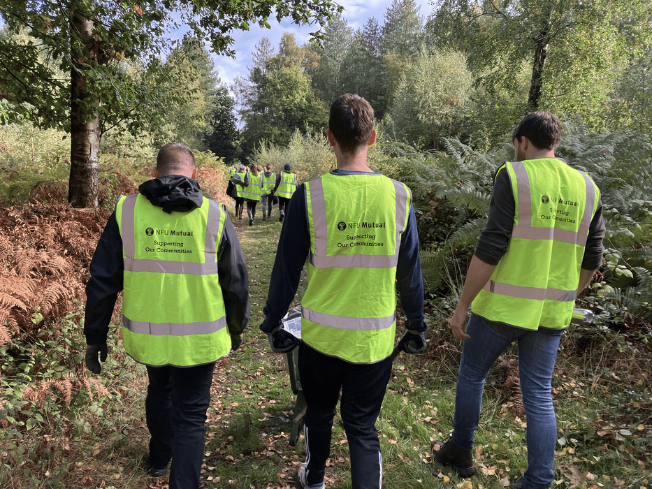 NFU Mutual employees volunteering in a wooded area