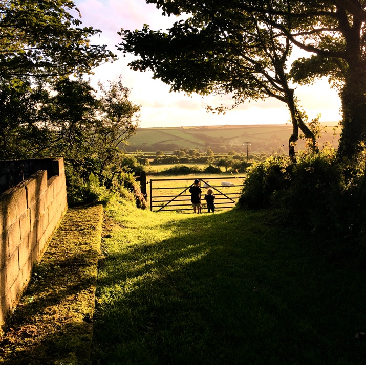Two young boys stand at a farm gate at sunrise
