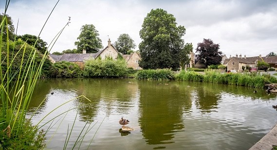 house next to a river thumbnail